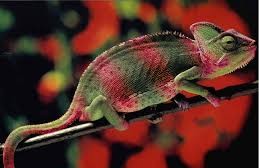 Veränderungsmanagement